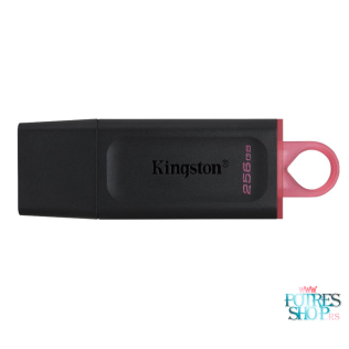 USB 256GB KINGSTON DTX/256