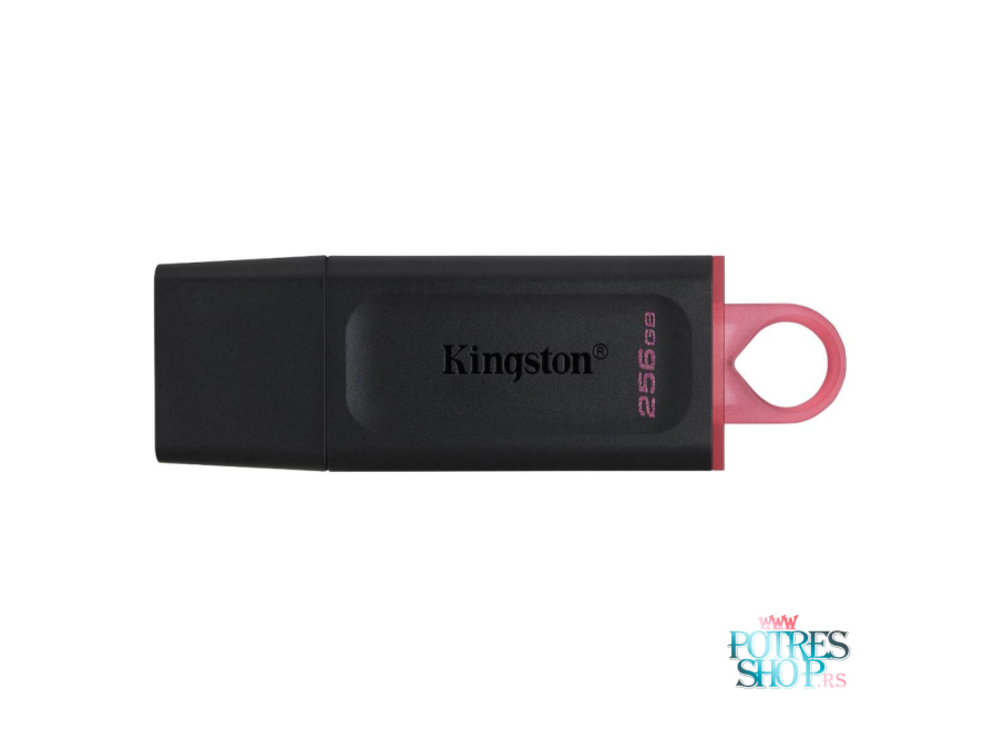 USB 256GB KINGSTON DTX/256