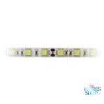 LED TRAKA SMD5050 5M C405-105